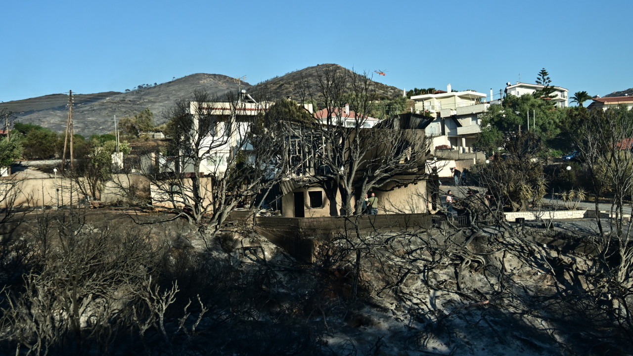 Καμένη γη και καταστροφές - Η επόμενη μέρα στην Παλαιά Φώκαια μετά το πέρασμα της πύρινης λαίλαπας (Εικόνες και βίντεο)