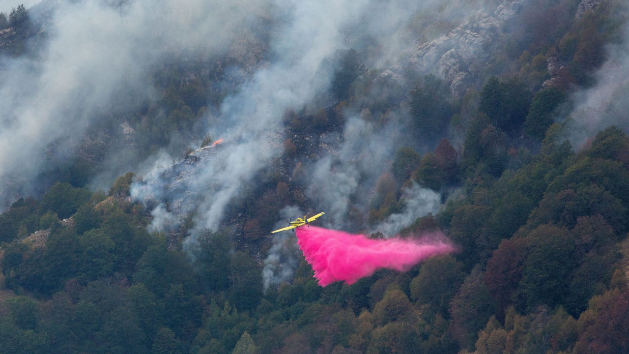 Φωτιά σε δασική έκταση στο Γεράκι Αμαλιάδας - Μεγάλη κινητοποίηση της Πυροσβεστικής, ήχησε και 112