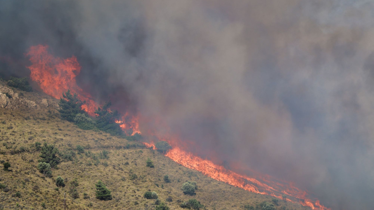Φωτιά στη Χίο: Σύλληψη οικιακής βοηθού για εμπρησμό από αμέλεια