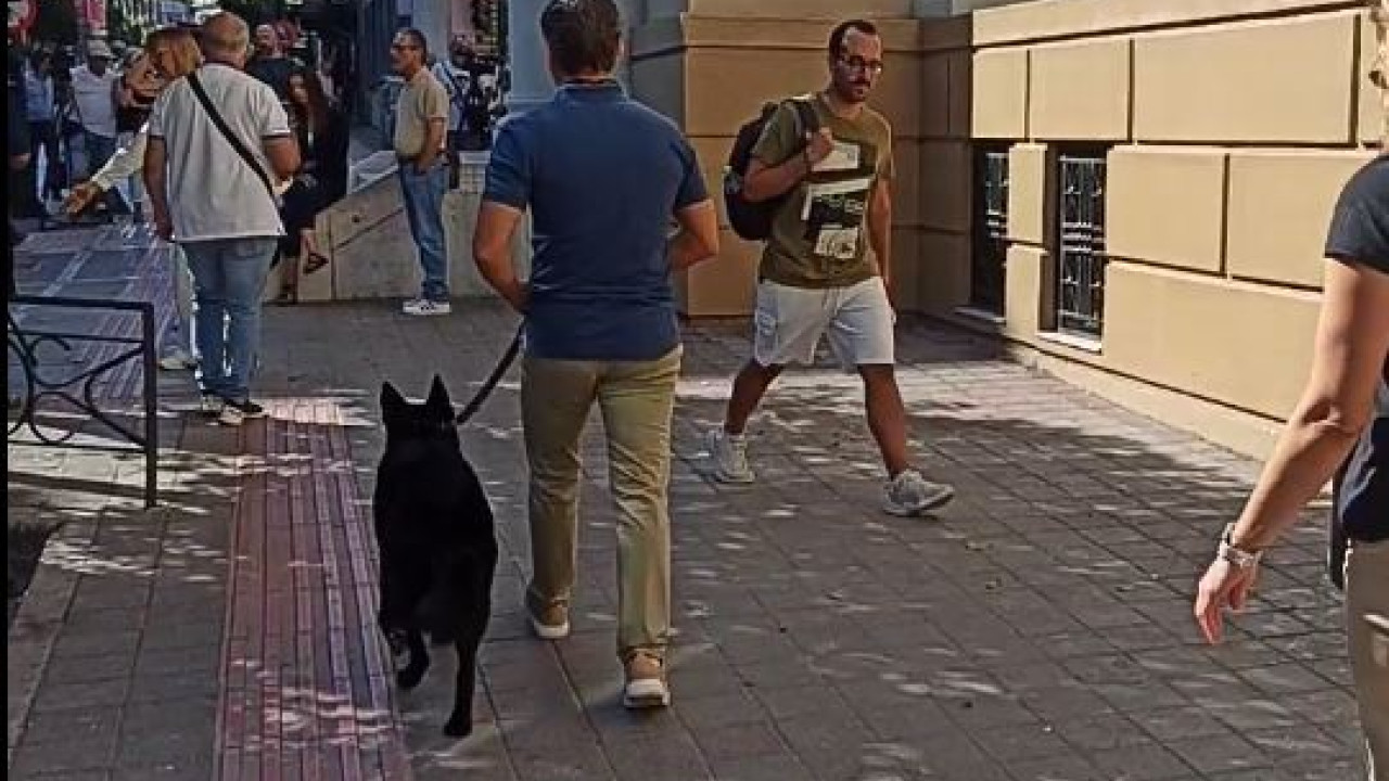 Δρακόντεια μέτρα ασφαλείας στα δικαστήρια της Πάτρας για την άφιξη της Ειρήνης Μουρζτούκου - Βίντεο