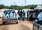 Βάρδα