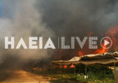 Φωτιά Μανωλάδα