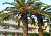 Κρήτη: Σε κρίσιμη κατάσταση τουρίστας που τον καταπλάκωσε μπαλκόνι 