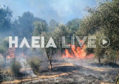 Φωτιά στη Μέλισσα Λεχαινών Ηλείας: Eνισχύθηκαν οι δυνάμεις- Μήνυμα 112 για τα Κοττέικα (Εικόνες) Φωτιά Ηλεία