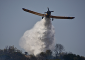 PZL