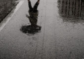 αντίληψη βροχερού δρόμου