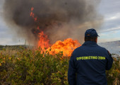 Φωτιά σε δασική έκταση στους Λογγάδες Ιωαννίνων