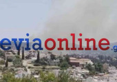 Φωτιά Εύβοια