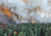 Γαλλία: Μεγάλη πυρκαγιά στο δάσος Φοντενεμπλό – Εκκενώσεις οικισμών κοντά στο Παρίσι