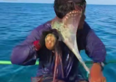 Χταπόδι