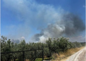 Αγρίνιο 