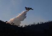 Πέντε συλλήψεις για φωτιές σε Νέα Μάκρη, Πρέβεζα, Εύβοια, Χίο, Άγιο Όρος