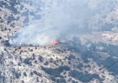 Φωτιά σε δασική έκταση στον Μαραθόκαμπο Σάμου 