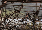 «Mega fire» στο Πόρτο Γερμενό- Συγκλονιστικό φωτογραφικό οδοιπορικό στα καμένα