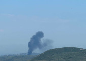Κέρκυρα: Φωτιά στην περιοχή Τεμπλόνι