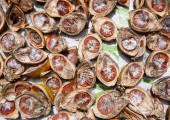 καρποί betel