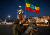 Tigray Peace Forces