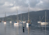 Flotilla
