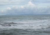 Sea, Ocean, Beach, Indonesia, Coral