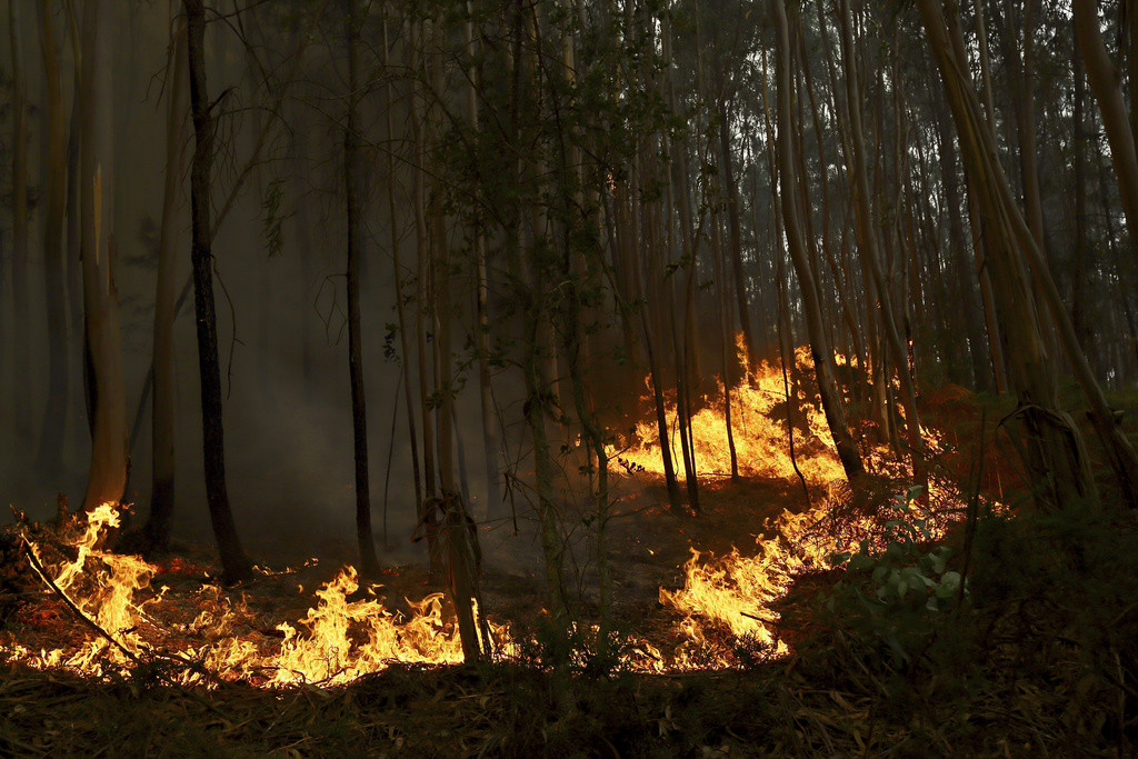 Portugal Wildfires