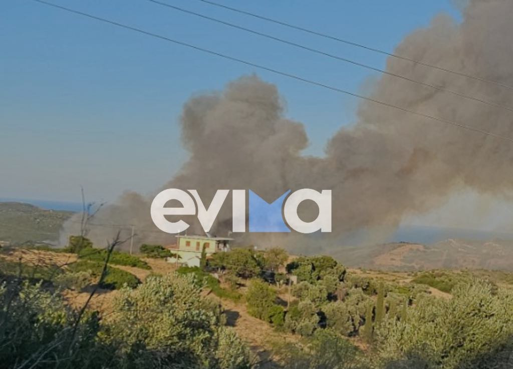 υτξτξτ