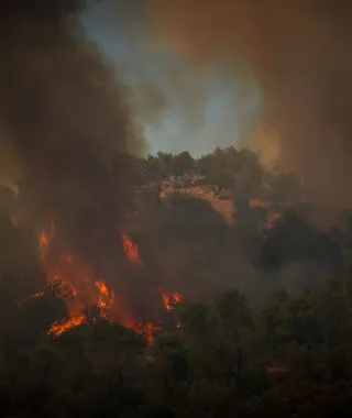 Μυτιλήνη: Στα 614 στρέμματα η πρώτη εκτίμηση για την καμένη έκταση από την πυρκαγιά στο Πλωμάρι