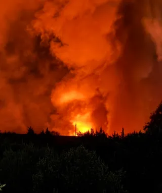 EU urges countries to invest in nature as wildfire costs exceed €15 billion
