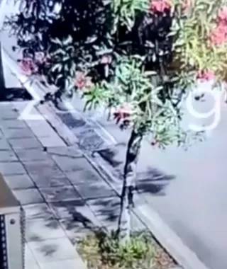 Άνω Λιόσια