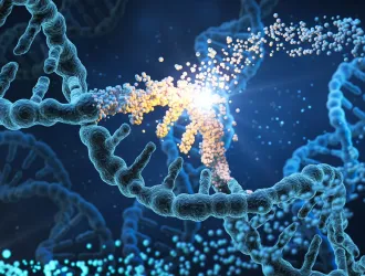 DNA: Επιστήμονες φωτογράφισαν για πρώτη φορά έναν μηχανισμό που είχε προβλεφθεί πριν από 20 χρόνια