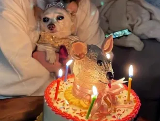 Μια quinceanera... με ουρά! Η Daisy γιόρτασε τα 15 της σαν πραγματική σταρ