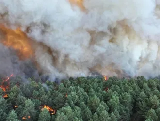 Γαλλία: Μεγάλη πυρκαγιά στο δάσος Φοντενεμπλό – Εκκενώσεις οικισμών κοντά στο Παρίσι