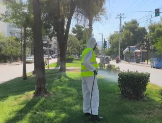Κρούσμα ιού του Δυτικού Νείλου στο Παλαιό Φάληρο - Έκτακτοι ψεκασμοί την Πέμπτη