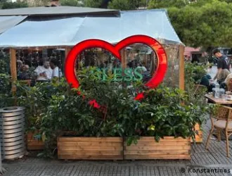 Ο Έλληνας τζίτζικας και ο Γερμανός μέρμηγκας