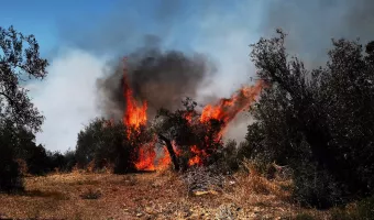  Άνω Γλυφάδα: 2 ύποπτοι για τη φωτιά- Δεν υπάρχουν συλλήψεις