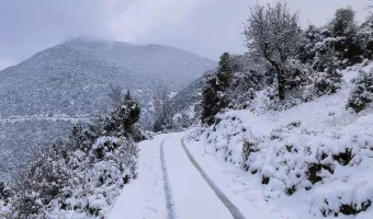 Καιρός: Βροχές, χαμηλές θερμοκρασίες και χιόνια - Ποιές περιοχές θα «ντυθούν στα λευκά» τα Χριστούγεννα