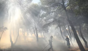 Φωτιά στην Αττική: Υπάρχουν εκατοντάδες εστίες που δεν επιτρέπουν εφησυχασμό