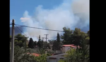 Μέγαρα: Φωτιά στο Νέο Μάζι Μεγάρων 