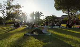 navarino challenge