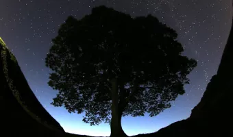 Sycamore Gap