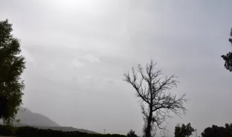 Αφρικανική σκόνη 