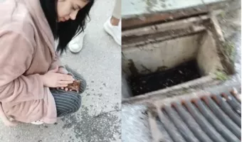 Θεσσαλονίκη: 21χρονη επαναφέρει στη ζωή γατάκι που είχε πέσει σε φρεάτιο