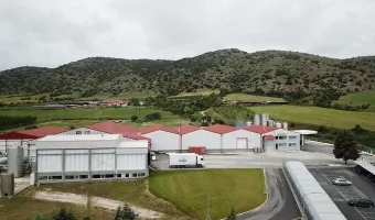 ΟΠΤΙΜΑ Παντελιάδης