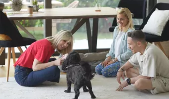 Pet Stories