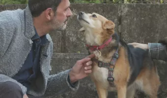 Pet Stories