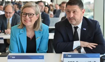 Χαρδαλιάς στη Βαλένθια