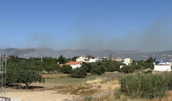 Φωτιά στην Ανάβυσσο