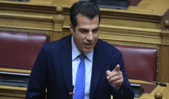 Πλεύρης