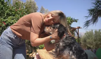 Pet Stories