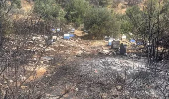 Φωτιά Υμηττός