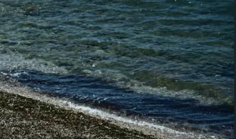 Νεκρό κοριτσάκι στο Παλαιό Φάληρο: Η μαρτυρία άνδρα που φρόντιζε την οικογένεια